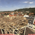 11_45-nest.jpg