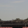 11_50-mast.jpg