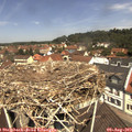 11_50-nest.jpg