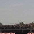 12_00-mast.jpg