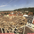 12_00-nest.jpg