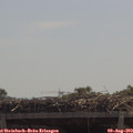 12_05-mast.jpg