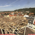 12_05-nest.jpg