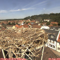 12_15-nest.jpg