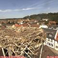 12_20-nest.jpg