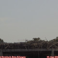 12_25-mast.jpg