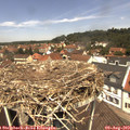 12_25-nest.jpg