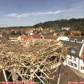 12_30-nest.jpg