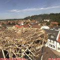 12_35-nest.jpg