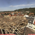 12_40-nest.jpg