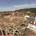 12_45-nest.jpg