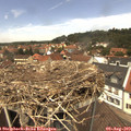 12_55-nest.jpg