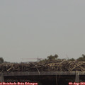 13_00-mast.jpg