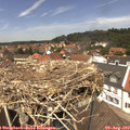 13_05-nest.jpg