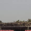 13_10-mast.jpg
