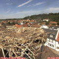 13_10-nest.jpg