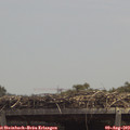 13_15-mast.jpg