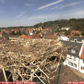 13_15-nest.jpg