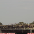 13_25-mast.jpg