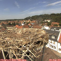 13_25-nest.jpg