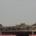 13_30-mast.jpg