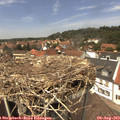 13_30-nest.jpg