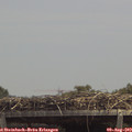 13_35-mast.jpg