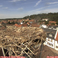 13_35-nest.jpg