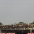 13_40-mast.jpg