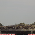 13_45-mast.jpg