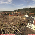 13_45-nest.jpg