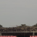 13_50-mast.jpg