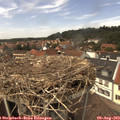 13_50-nest.jpg