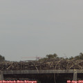 13_55-mast.jpg