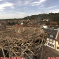 13_55-nest.jpg