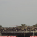 14_00-mast.jpg
