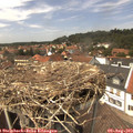 14_00-nest.jpg