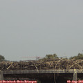 14_05-mast.jpg