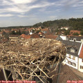 14_05-nest.jpg