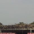 14_10-mast.jpg