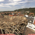 14_10-nest.jpg