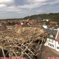 14_15-nest.jpg