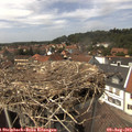 14_20-nest.jpg