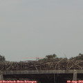 14_25-mast.jpg