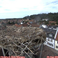 14_35-nest.jpg