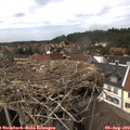 14_40-nest.jpg