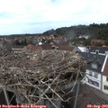 14_45-nest.jpg