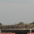 14_50-mast.jpg