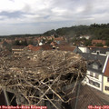 14_50-nest.jpg