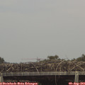 14_55-mast.jpg